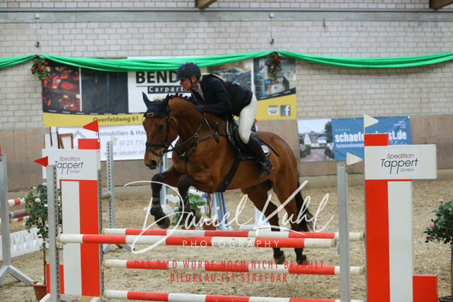 IMG_0733 | Turnierfotos kaufen im Webshop von Daniel Kuhl Photography – entdecke professionelle Reitsportfotos aus Turnieren & Events. Hochwertige Turnierbilder online bestellen & sichern. Jetzt Fotos von Reitsportturnieren kaufen!