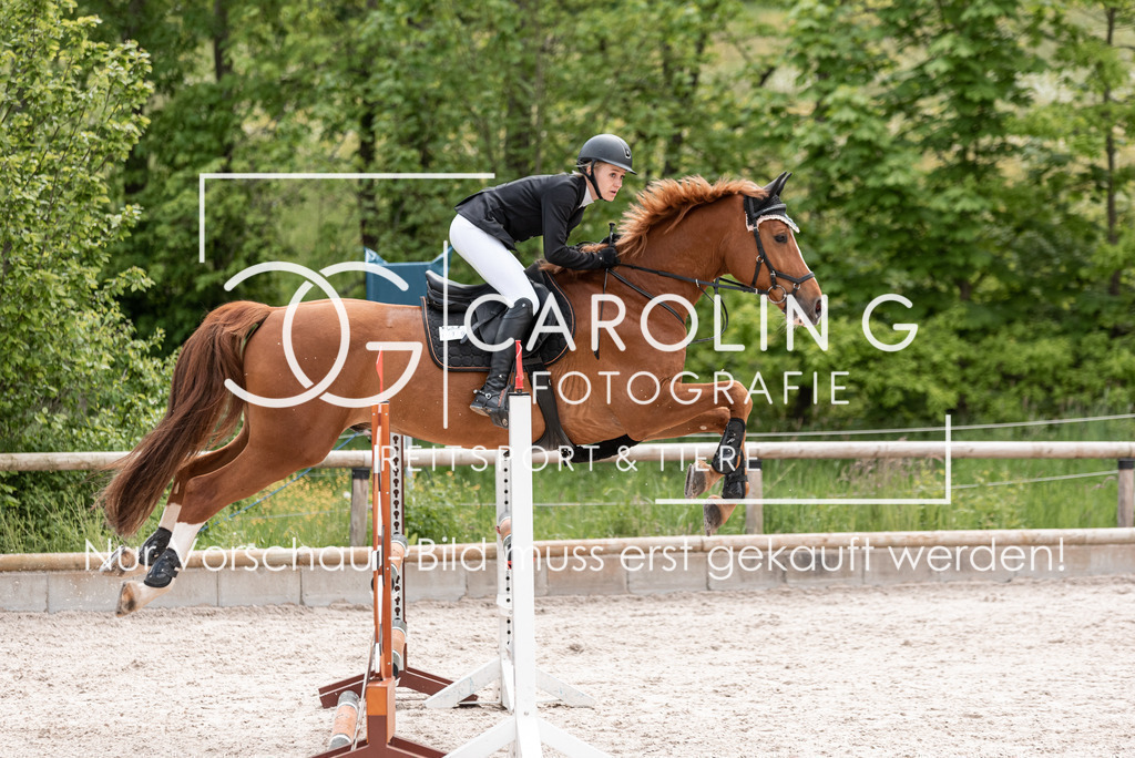 DSC_0745 | Turnierfotografin Carolin Gieschke, Turnierfotografie Carolin G Fotografie, Turnierfotos Kirchheim/Teck, Esslingen, Stuttgart, Bodenseekreis