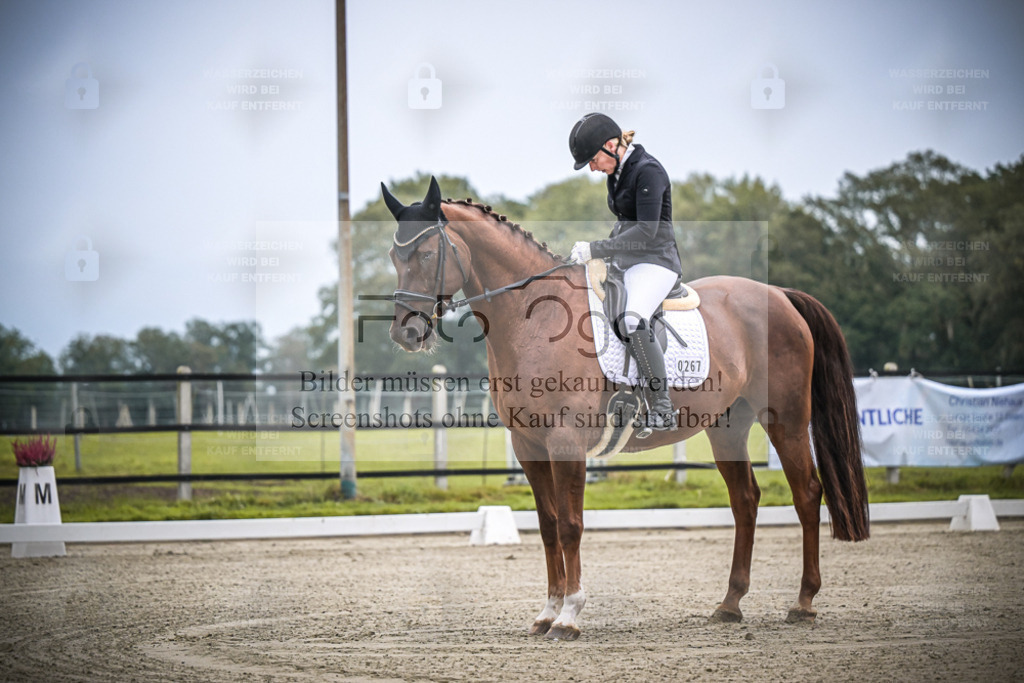 DOS_0221 | Entdecke hochwertige Reitturnierfotos von Foto Oger. Professionell, emotional und authentisch – jetzt Lieblingsmomente im Shop bestellen. - Realisiert mit Pictrs.com