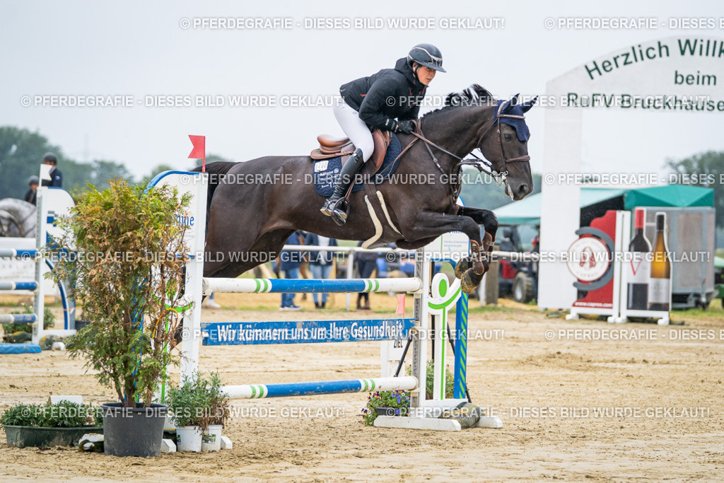 DSC01371 | Pferdegrafie