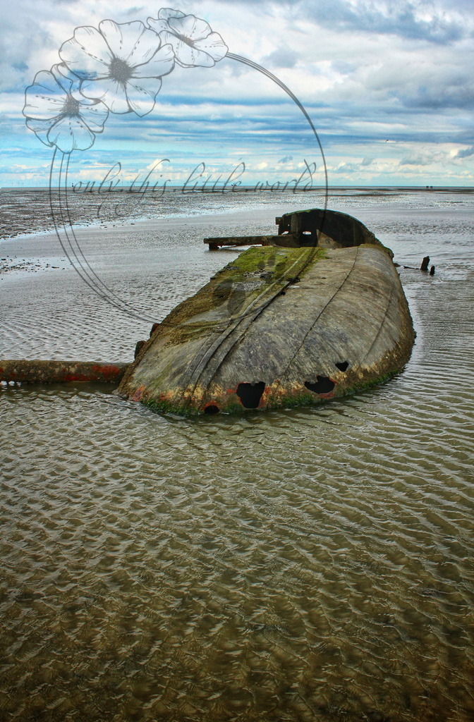 IMG_6455-01 1.0 | only.this.little.world - Realisiert mit Pictrs.com