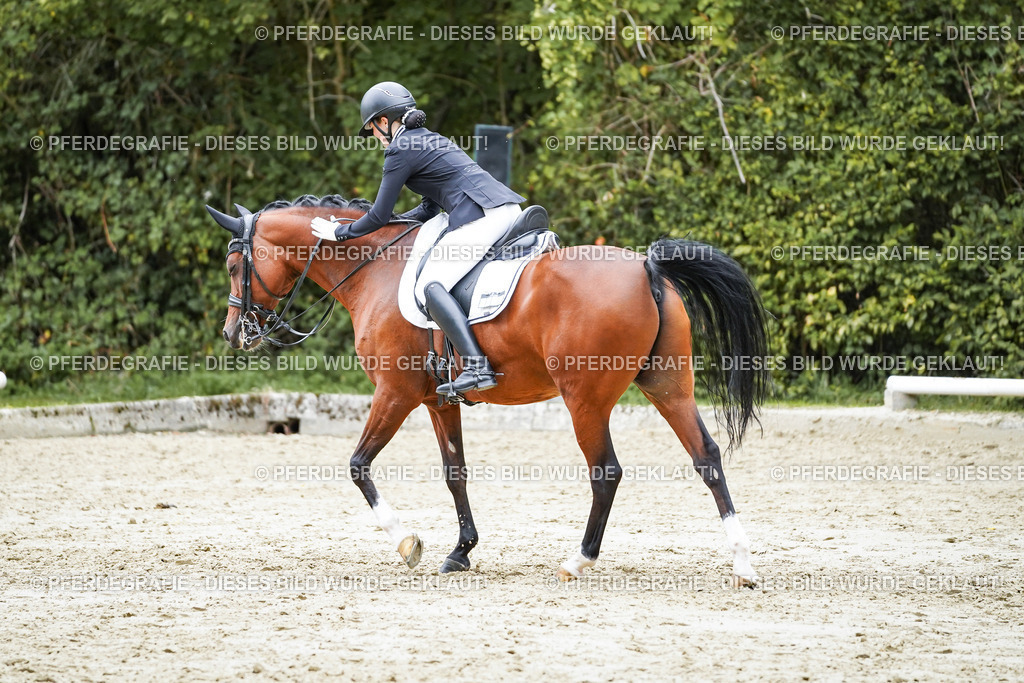 DSC01866 | Pferdegrafie