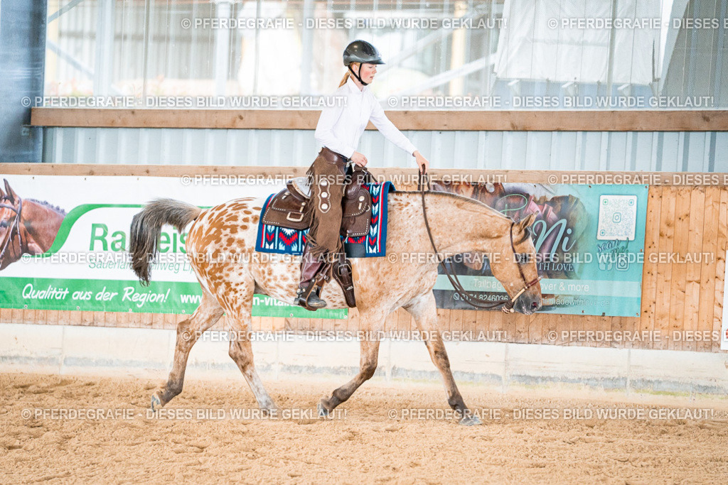 DSC09399 | Pferdegrafie