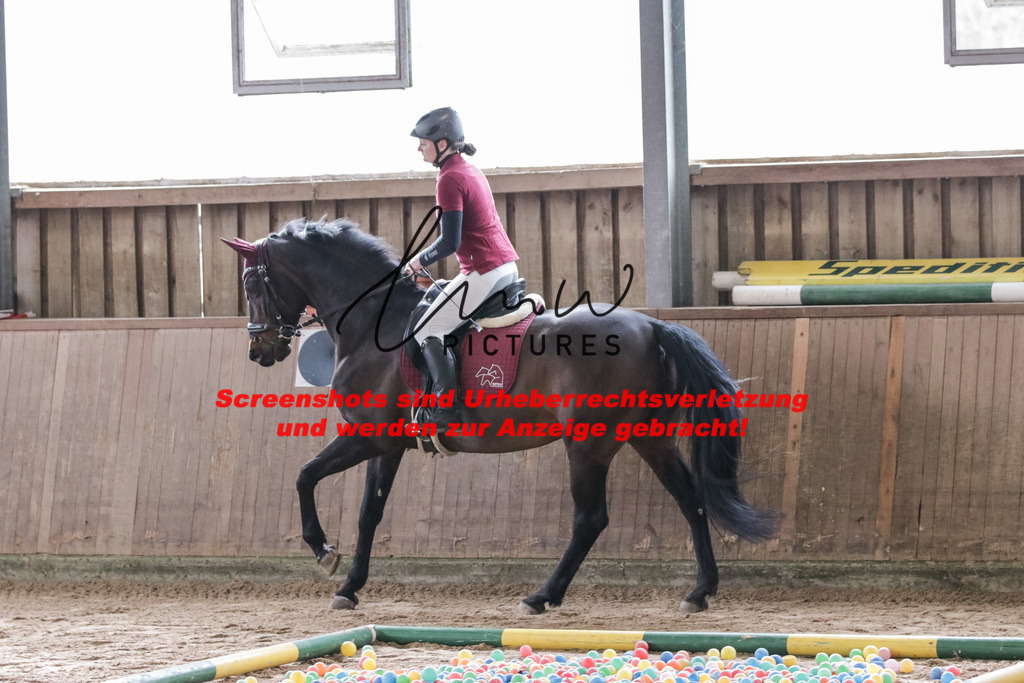 IMG_1586 | lmwpictures - Realisiert mit Pictrs.com