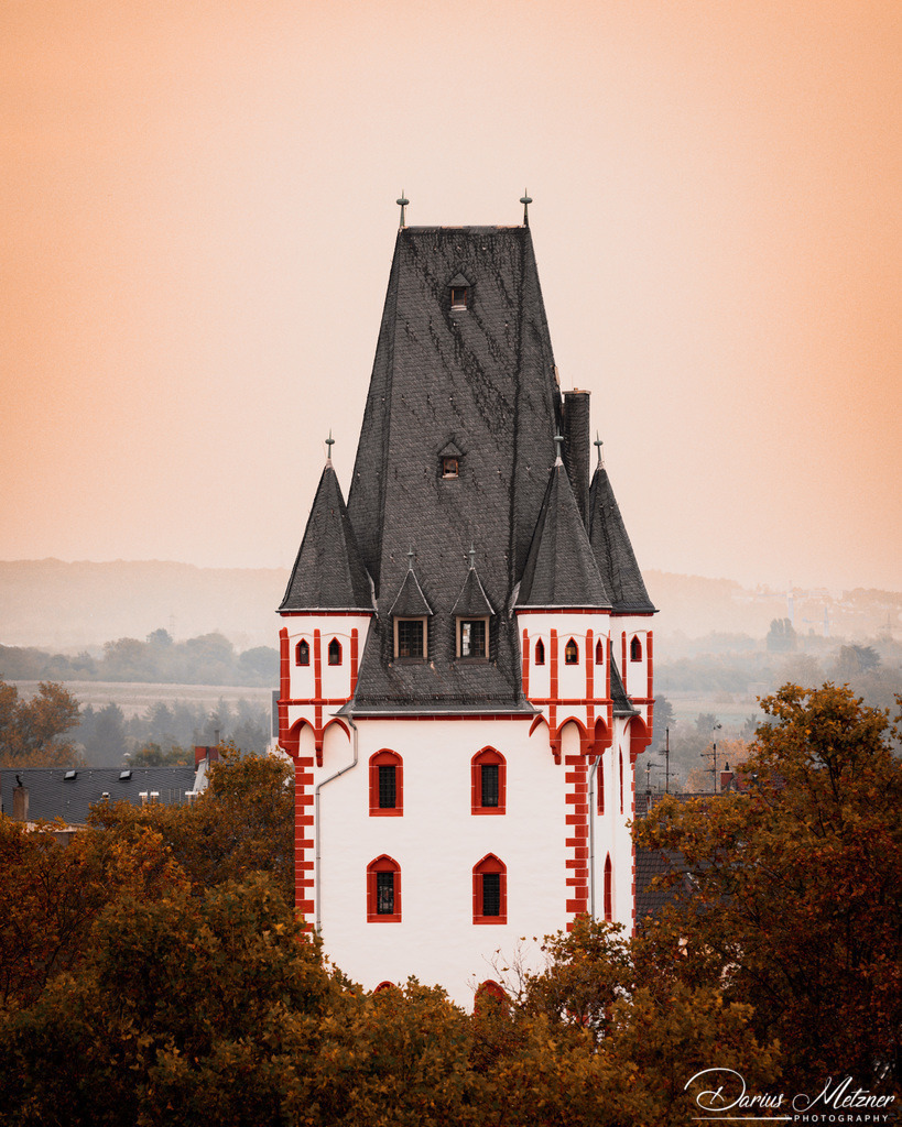 Der Holzturm in Mainz | Der Holzturm in Mainz