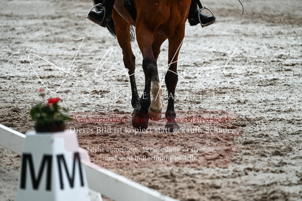 DSC_4379 | Pferde- und Turnierfotografie in Westsachsen. Pferdeportraits, Auftragszeichnungen und intuitive Kunst.