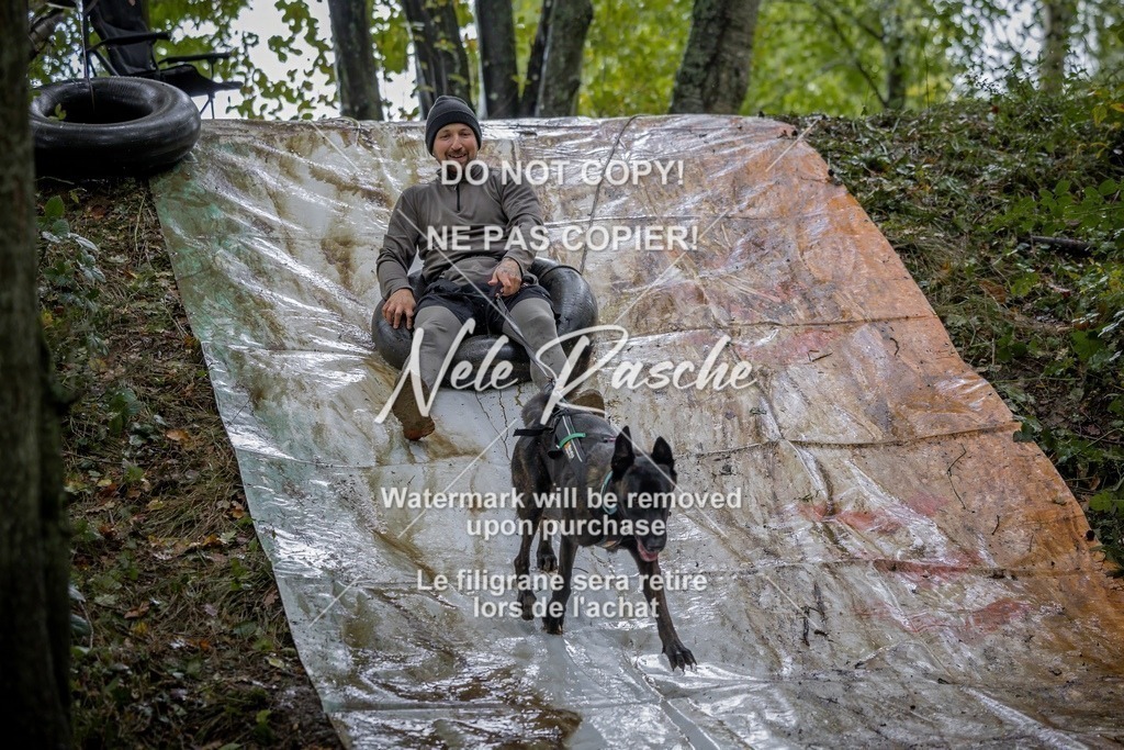 nelerasche_Hunsrück_Sa1430-1500_17-final | nelerasche