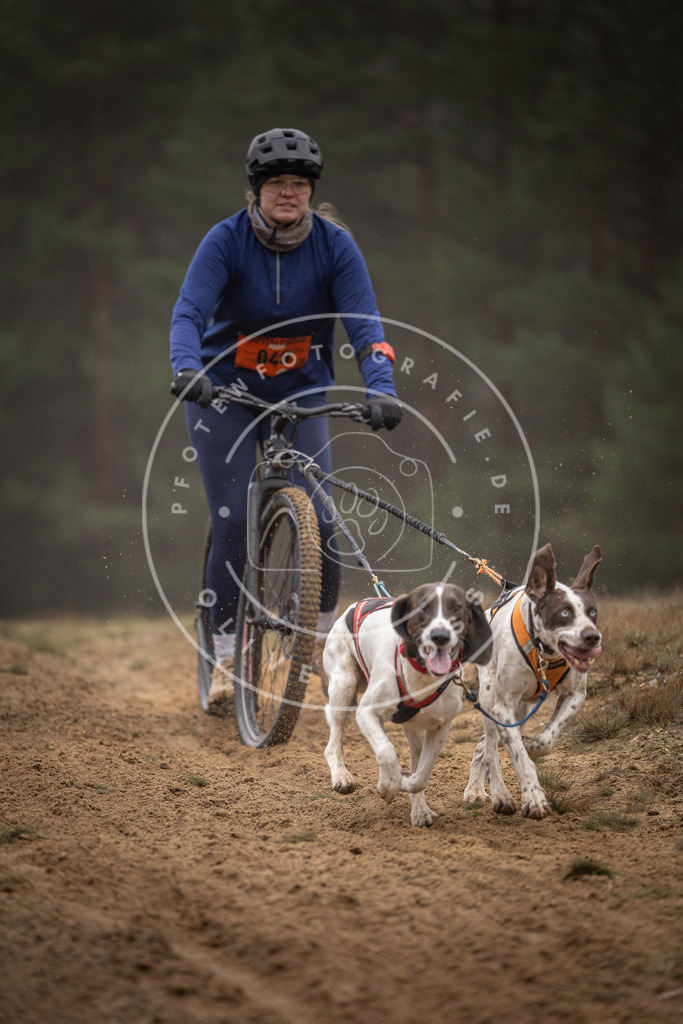 Pfotenfotografie_DV3A1177 | Hundefotografie, Tierfotograf, Pfotenfotografie, Fotoshooting Hund, Hunde Portrait, Hundesport, Hundeportraits, Heideshooting, Hunde, Sportfotograf, Hundefotograf, Turnierhundsport, THS,  - Realisiert mit Pictrs.com