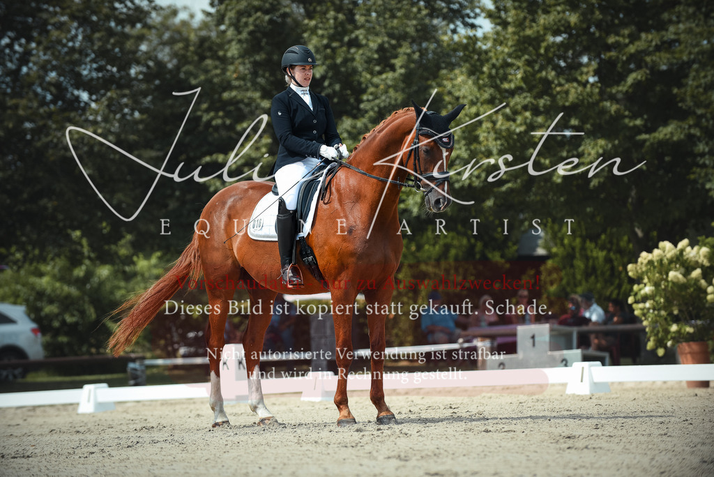 DSC_9084 | Pferde- und Turnierfotografie in Westsachsen. Pferdeportraits, Auftragszeichnungen und intuitive Kunst.