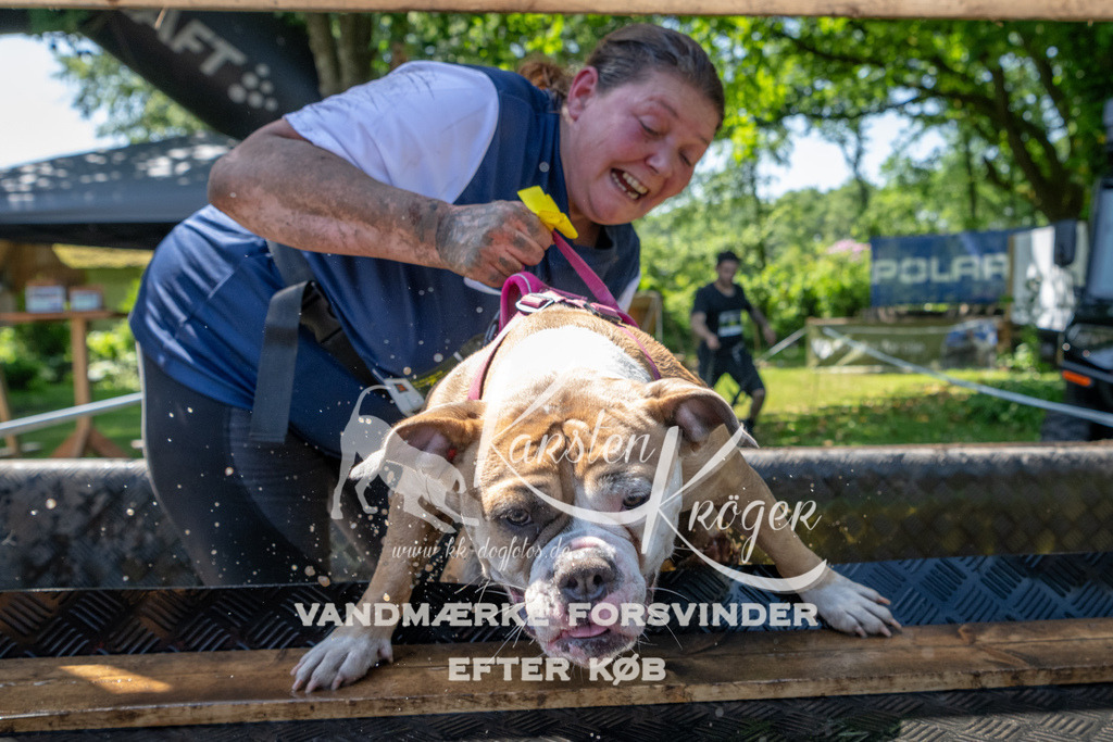 1249_ZZ92576 | kk-dogfotos