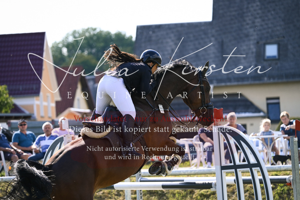 DSC_1193 | Pferde- und Turnierfotografie in Westsachsen. Pferdeportraits, Auftragszeichnungen und intuitive Kunst.