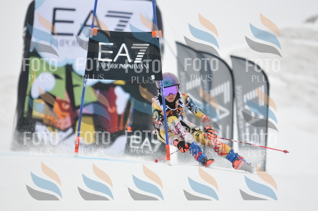 DSC_7828 | holidayphoto