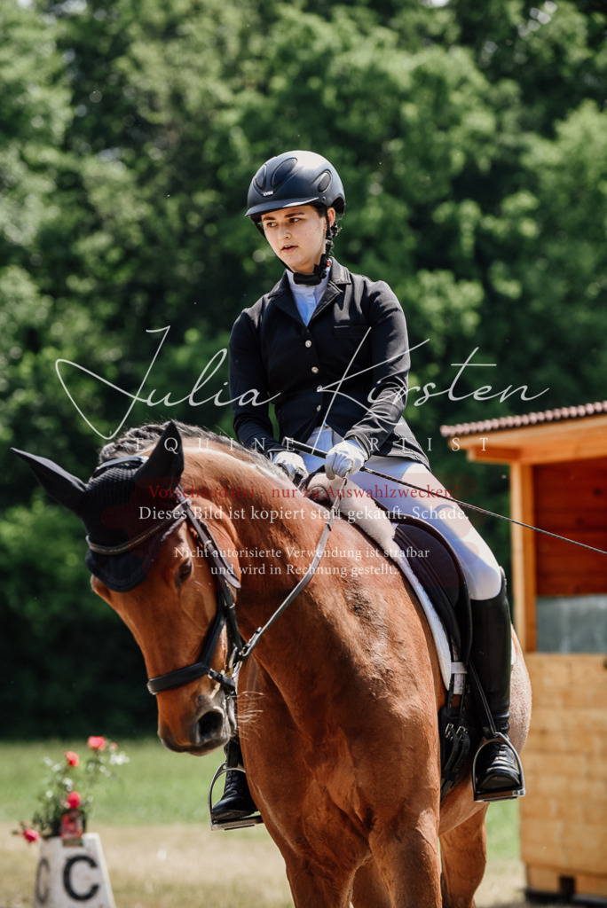 DSC_0972 | Pferde- und Turnierfotografie in Westsachsen. Pferdeportraits, Auftragszeichnungen und intuitive Kunst.
