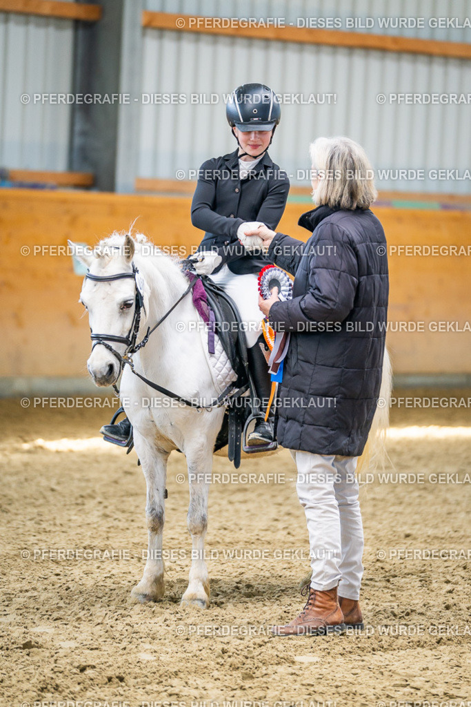 DSC02725 | Pferdegrafie