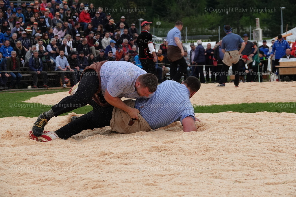 DSC03216 | Schwingen - Realisiert mit Pictrs.com