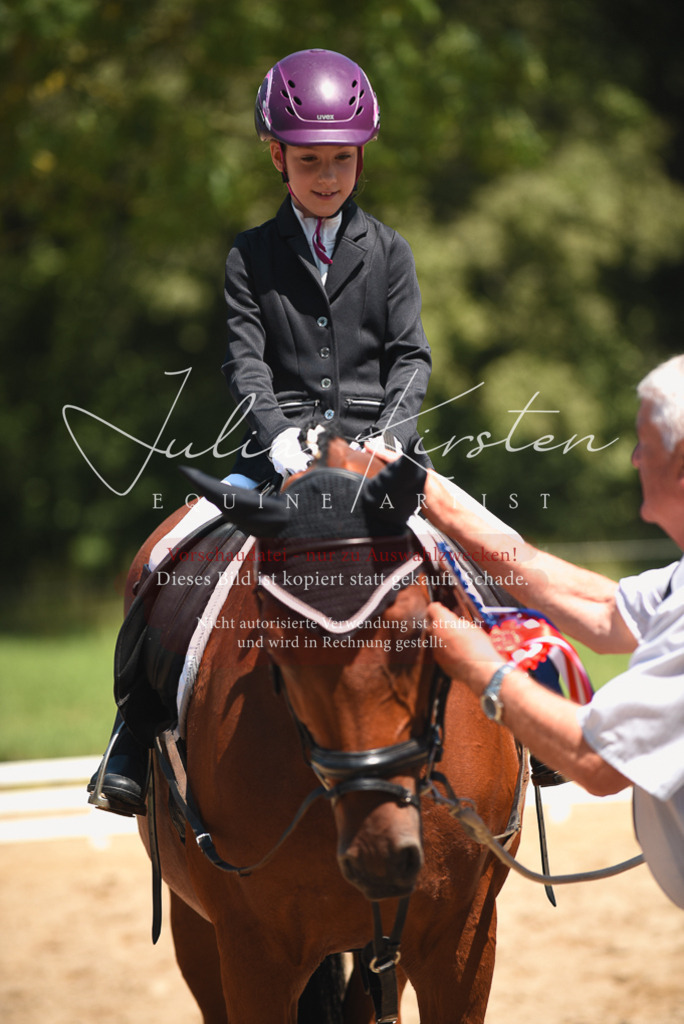 DSC_1941 | Pferde- und Turnierfotografie in Westsachsen. Pferdeportraits, Auftragszeichnungen und intuitive Kunst.