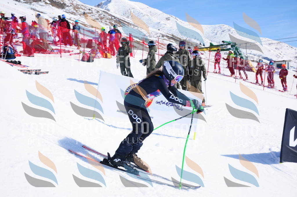 DSC_4622 | holidayphoto