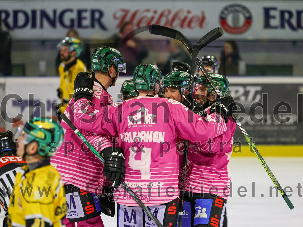 2025-10-28_156_TSV_Erding_gegen_Toelzer_Loewen | Erding, Deutschland, 28.10.2025:Eishockey, Oberliga Süd 2025 / 2026, 13. Spieltag, TSV Erding gegen Tölzer Löwen, Endergebnis: 2:5Elia Ostwald (Erding Gladiators, #17), Grady Hobbs (Erding Gladiators, #22), Jesse Kauhanen (Erding Gladiators, #4), Thomas Matheson (Erding Gladiators, #37), Philipp Michl (Erding Gladiators, #77)Foto: Christian Riedel / fotografie-riedel.net