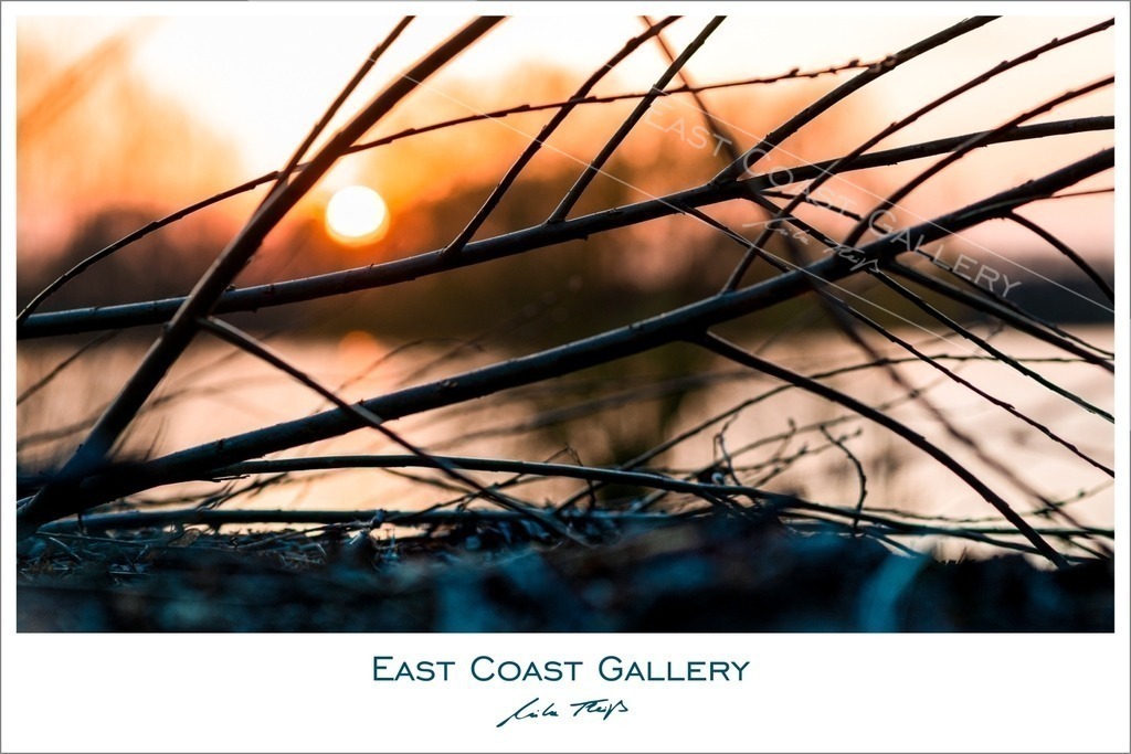 Look through my Lense | EastCoastGallery - Realisiert mit Pictrs.com