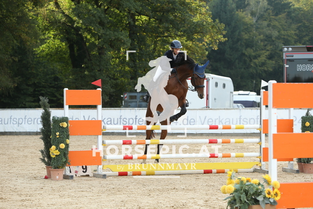 DL2Q7433 | Willkommen bei Brunnmayr - Design & Fotografie – Ihrem Spezialisten für Reitturniere und Pferdeveranstaltungen in Oberösterreich, Salzburg und Bayern! Seit über 17 Jahren sind wir leidenschaftlich dabei.