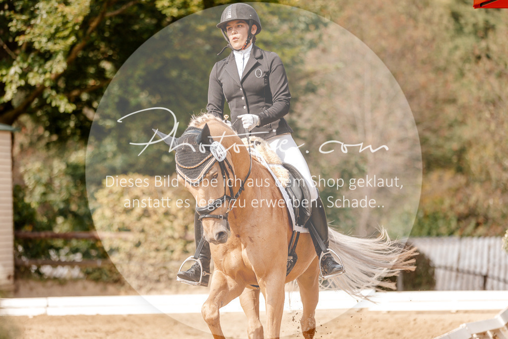 3I6A3953 | Stimmungsvolle Portraits und Reitsportfotografie im Ruhrgebiet und im Münsterland.

Pferdefotografie, Hundefotografie, Tierfotografie, Reportagen, Portraits von Tier und Mensch, Turnierfotografie in Bochum, Recklinghausen, Marl, Haltern am See, Dülmen.. - Realisiert mit Pictrs.com