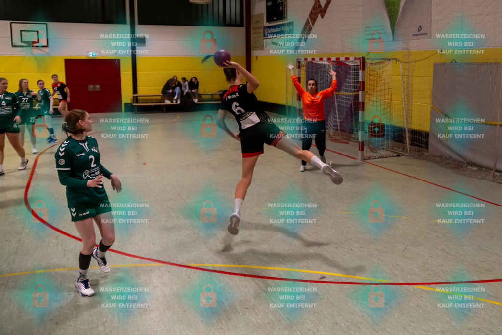 _HP_7256_3000o | TV Welling Damen vs. HSG ObereNahe 04.02.2024