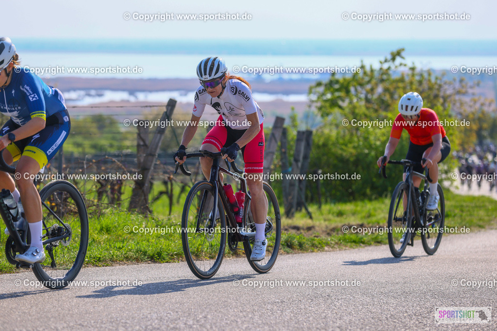 TRA_0252 | Neusiedlersee Radmarathon 2026@sportshot_your_pictrs #yourpictures#roadtowm2029 #nrm #neusiedlerseeradmarathon #neusiedlersee #neusiedlerseetourismus #burgenland #mörbisch #nrm26 #burgenlandtourismus #voglundco #poweredbyburgenlandtourismus #radsport #rad #marathon #ucigranfondo #visitburgenland #ucigranfondoworldseries