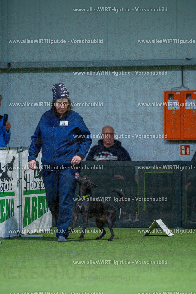 7R505965 | Professionelle Tierfotografie in Mönchengladbach von Daniel Wirth (allesWIRTHgut). Liebevolle & natürliche Bilder von Hunden & Katzen für unvergessliche Erinnerungen.