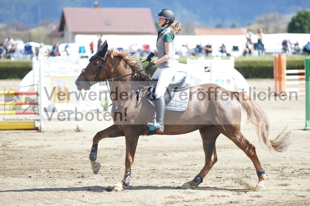 DSC03004 | equestrian-live-com