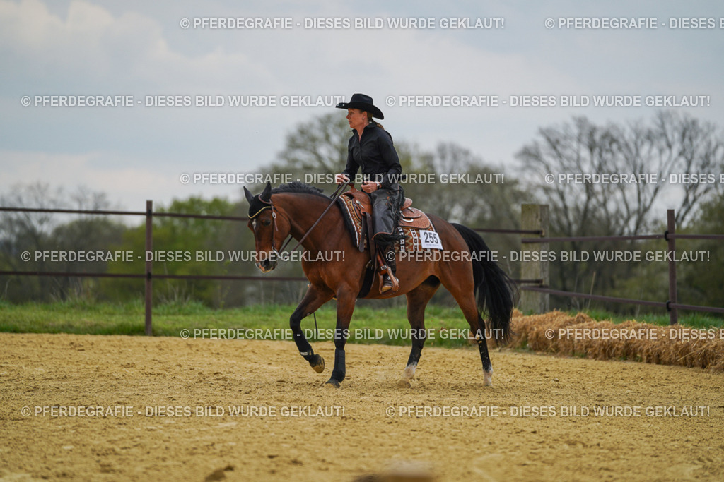 DSC07698 | Pferdegrafie