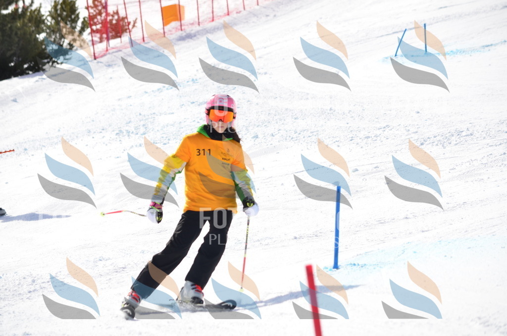 C9529 | holidayphoto