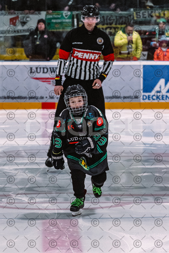 Alligators_vs_Toelz_15_02_2026-02 | Höchstadt Alligators Fotogalerie: Eishockey-Action aus Franken. Professionelle Spielfotos, Portraits & Stadionbilder zum Download. Jetzt entdecken! - Realisiert mit Pictrs.com