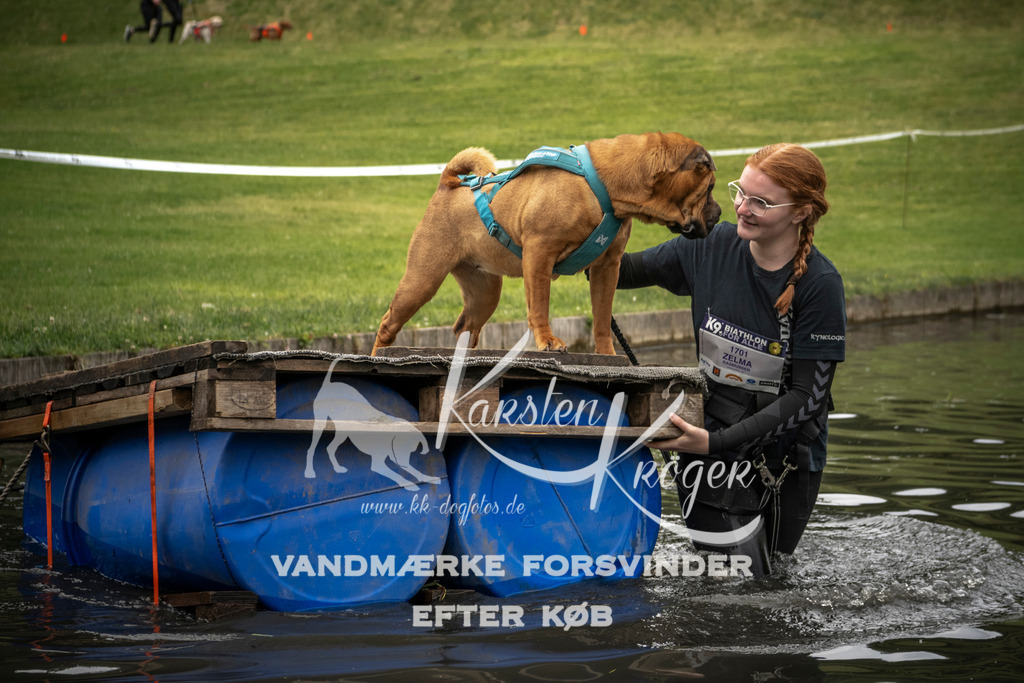 1101_ZZ95869 | kk-dogfotos