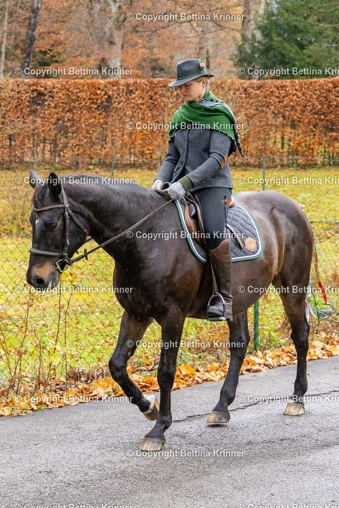 LL25-153 | foto-bettina-krinner - Realisiert mit Pictrs.com