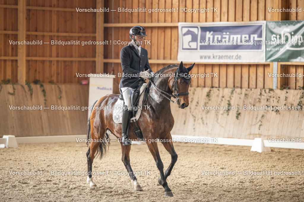 _D5A6198 | Emotionale Pferde- & People-Fotografie rund um Heidelberg, Leimen & Umgebung. Natürliche Fotos von Pferd, Mensch & Familie. Jetzt Termin sichern!