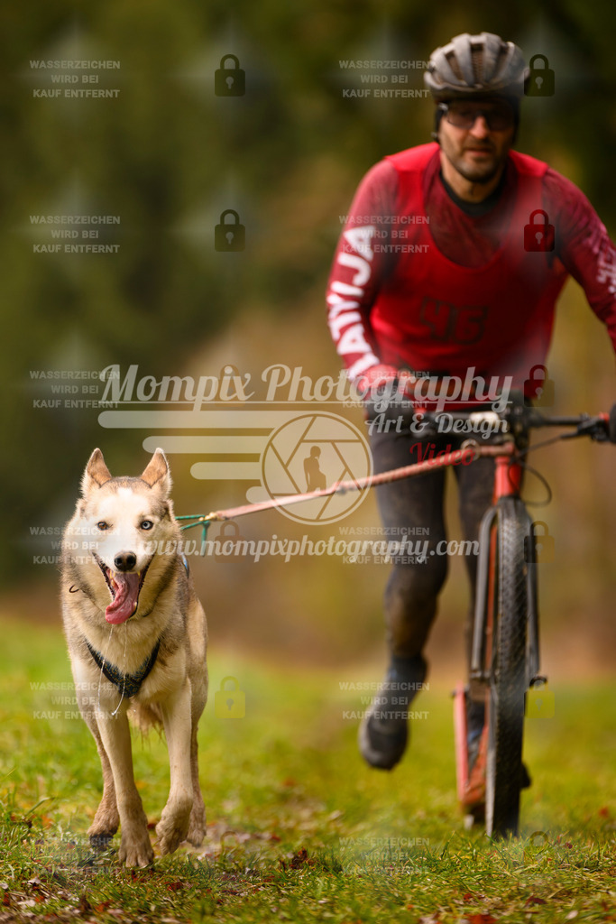 MompixPhotography_2SSTSSBW_2025_SO_Scooter-24 | PayLife