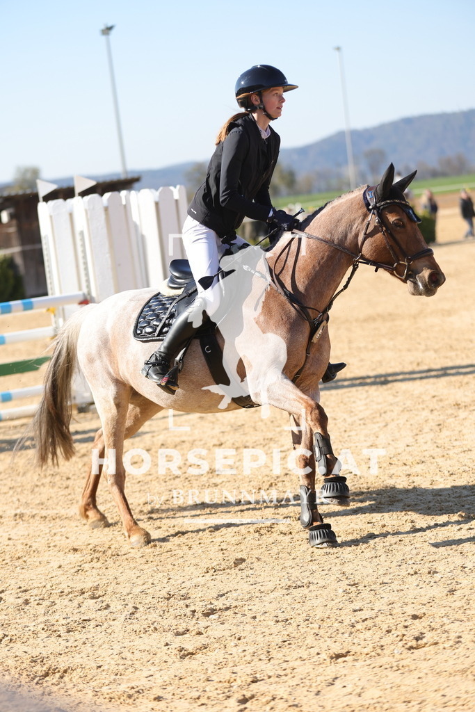 0P6A2070 | Willkommen bei Brunnmayr - Design & Fotografie – Ihrem Spezialisten für Reitturniere und Pferdeveranstaltungen in Oberösterreich, Salzburg und Bayern! Seit über 17 Jahren sind wir leidenschaftlich dabei.