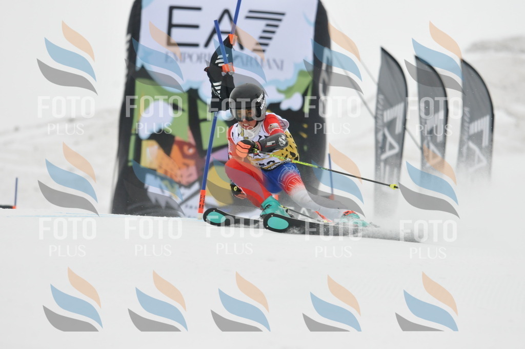 DSC_8434 | holidayphoto