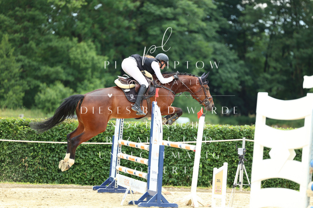 IMGM5892 | pl-fotografie