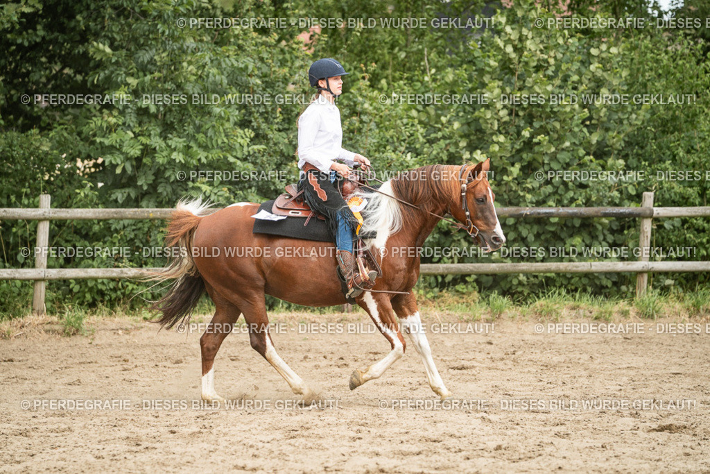 DSC04098 | Pferdegrafie