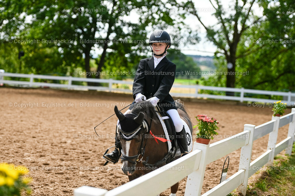 20230716_10-3_Reiter-WB Schritt - Trab - Galopp_0255 | equistock