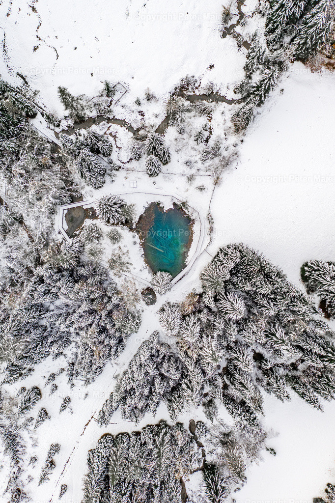 Meerauge-14 | piet_flosse