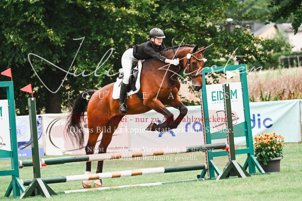 DSC_5966 | Pferde- und Turnierfotografie in Westsachsen. Pferdeportraits, Auftragszeichnungen und intuitive Kunst.