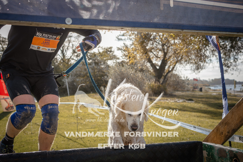 0959_ZZ99511 | kk-dogfotos