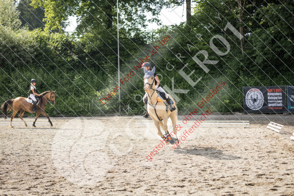 IMG_6108 | Sport-, Event- und Tierfotos in Profiqualität. Einfach auswählen, bestellen und herunterladen. Dein Moment – perfekt festgehalten.