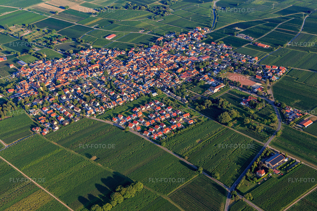 Luftbild: Ortsansicht von Nordwesten im Ortsteil Nußdorf in Landau im Bundesland Rheinland-Pfalz in Deutschland. Foto: IMG_103187.jpg vom 03.09.2017 durch Werner Riehm/FLY-FOTO.de