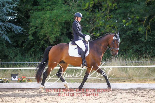 DKP45553 | Turniersportfotografie; Pferdefotografie; Dressurfotografie