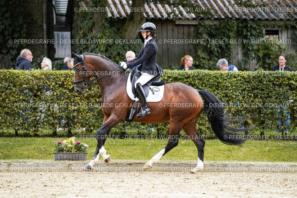 DSC07848 | Pferdegrafie