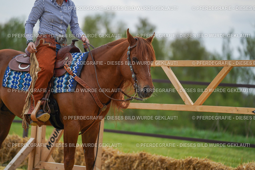 DSC07744 | Pferdegrafie