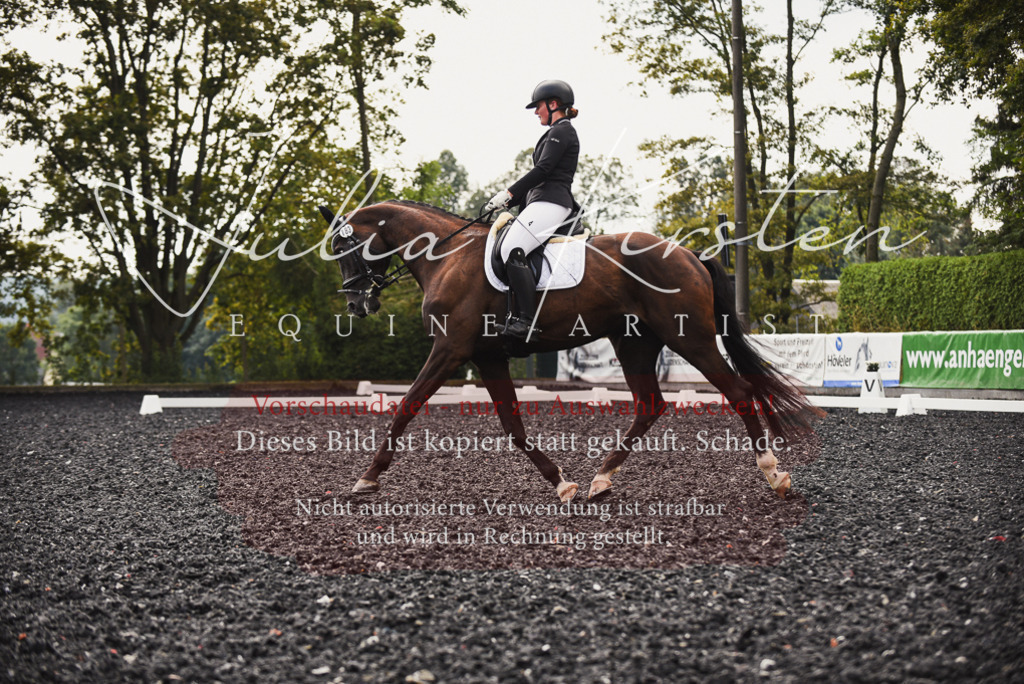 DSC_3718 | Pferde- und Turnierfotografie in Westsachsen. Pferdeportraits, Auftragszeichnungen und intuitive Kunst.